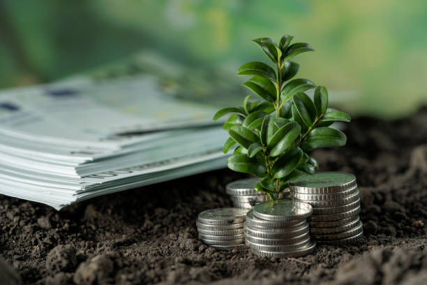 Agricultural Development